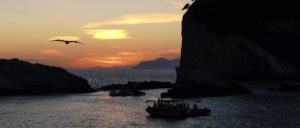 Sunset tour cinque terre